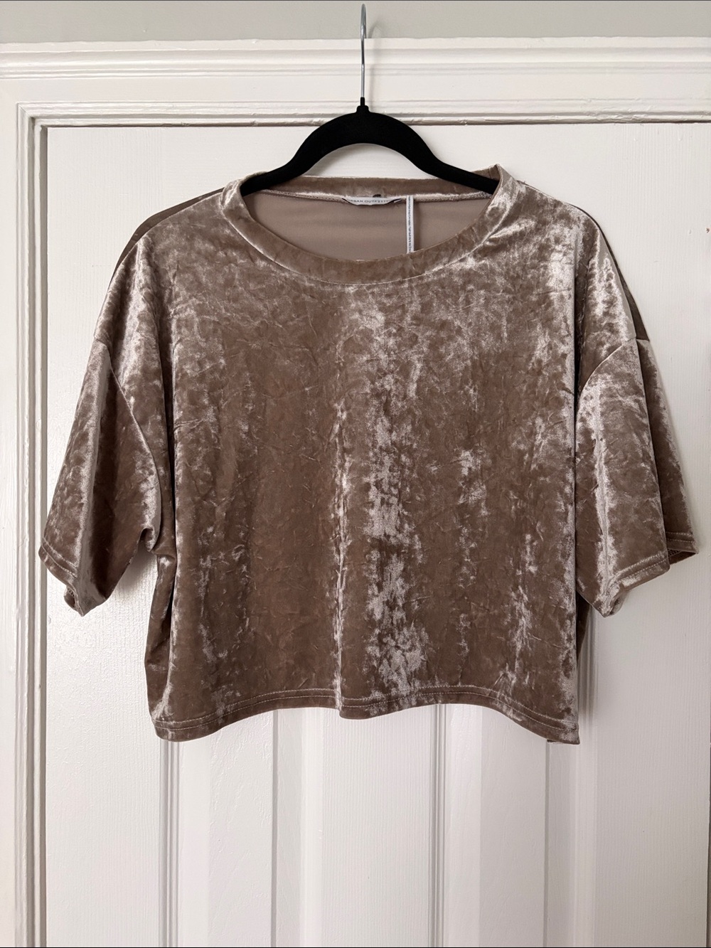 Urban Outfitters Crushed Velvet Crop Top - Taupe